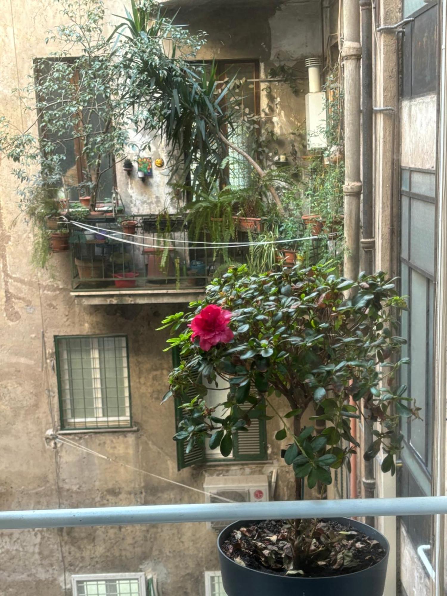 Art Lab Residence Rome Bagian luar foto